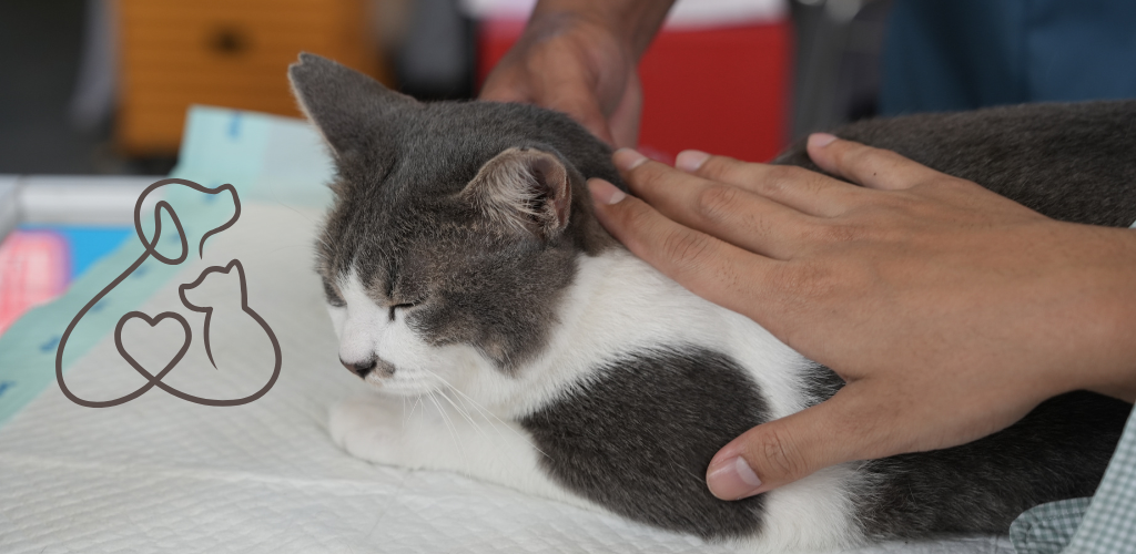 Pet Care Industry Philippines