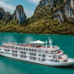 customer expansion strategy